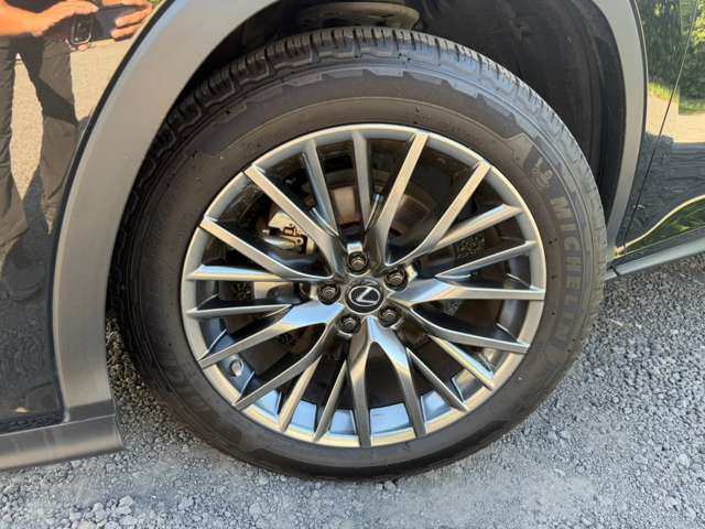 Lexus RX 11
