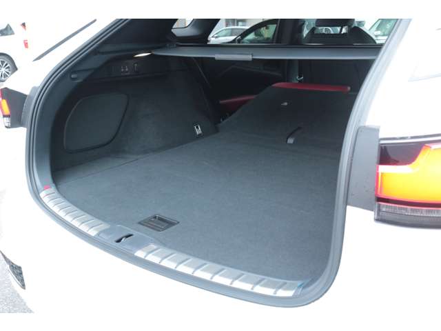 Lexus RX 11