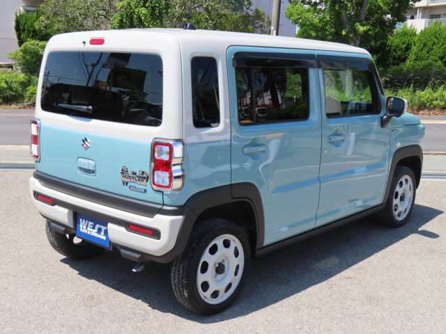Suzuki Hustler 11