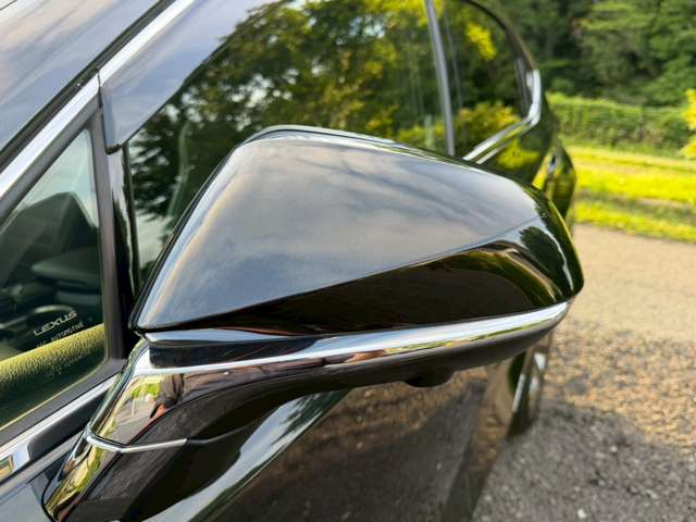 Lexus NX 12