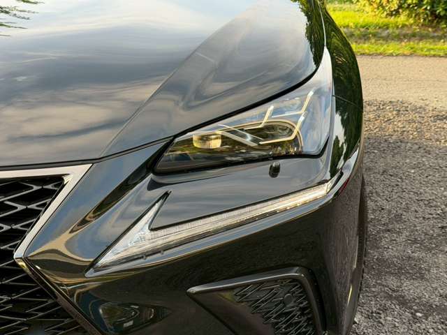 Lexus NX 7