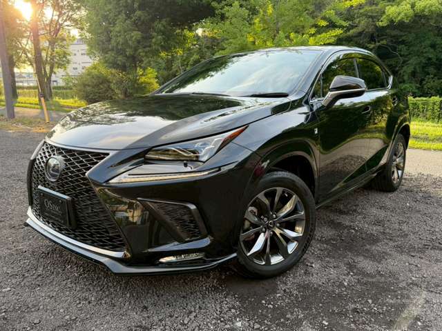 Lexus NX 9