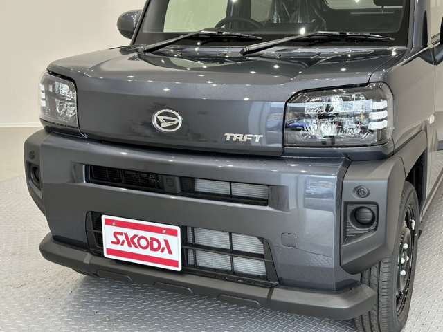 Daihatsu Taft 11