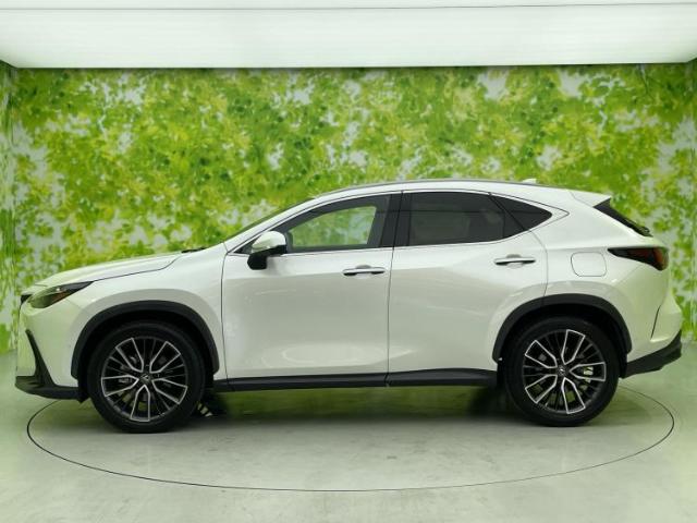 Lexus NX 5
