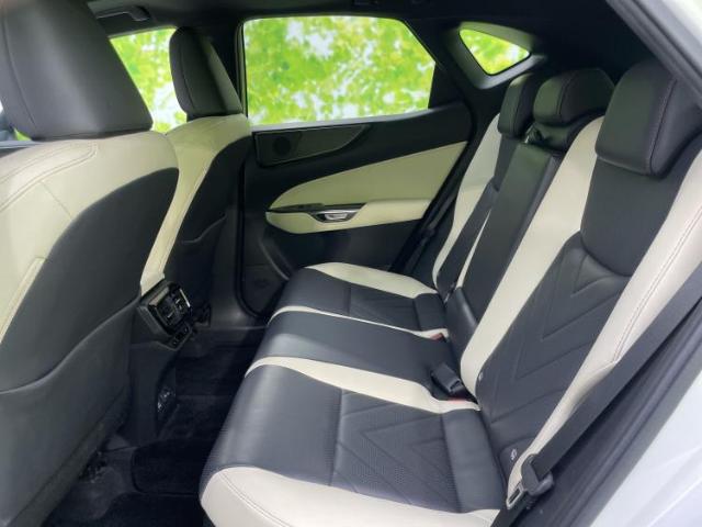 Lexus NX 10