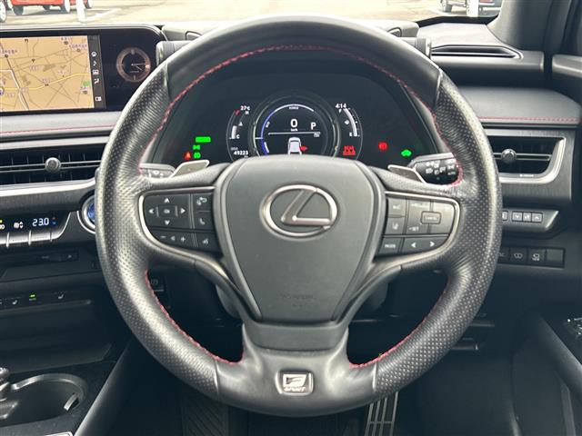 Lexus UX 12