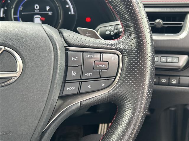 Lexus UX 10
