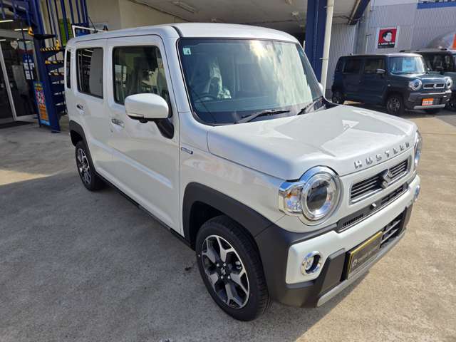 Suzuki Hustler 3