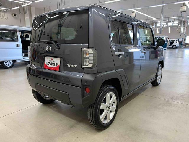 Daihatsu Taft 11