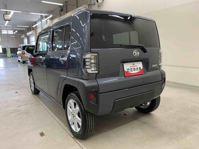 Daihatsu Taft 12