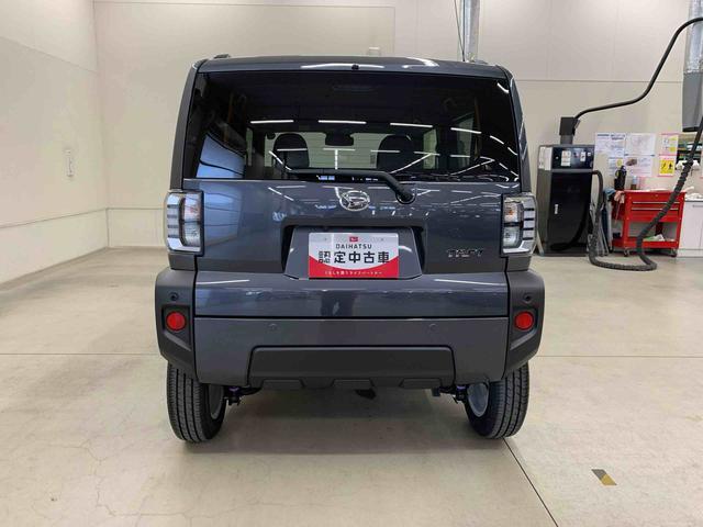Daihatsu Taft 6