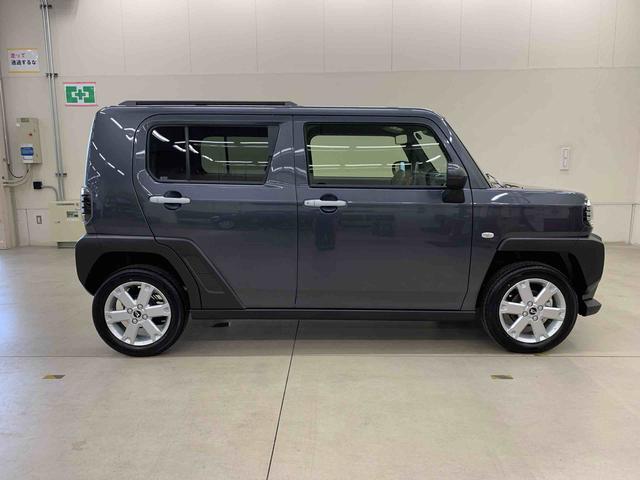 Daihatsu Taft 7