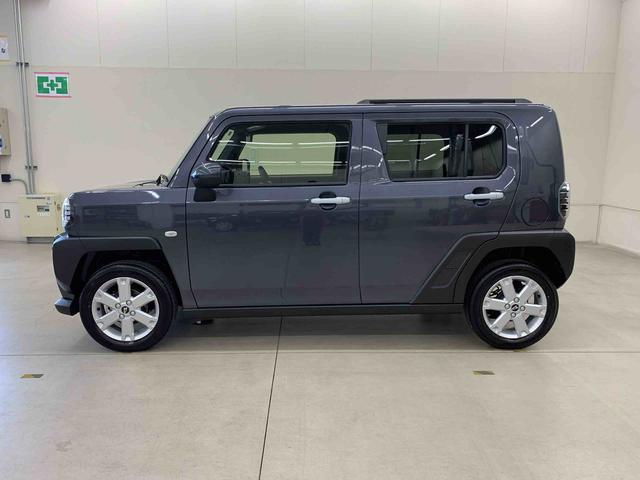 Daihatsu Taft 8
