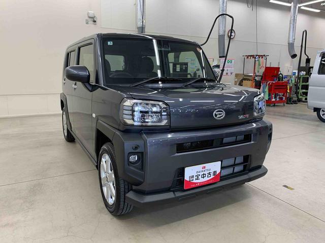 Daihatsu Taft 9