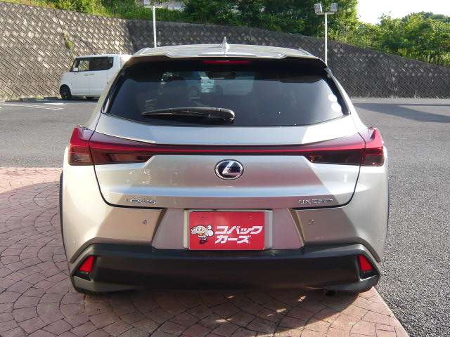 Lexus UX 10