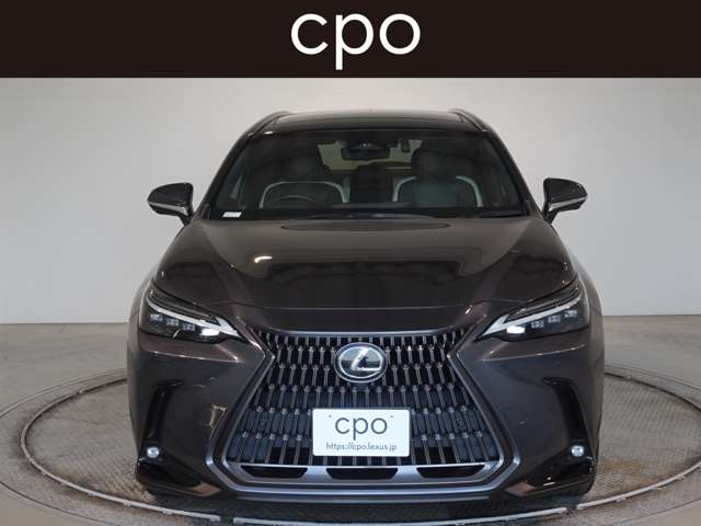 Lexus NX 5