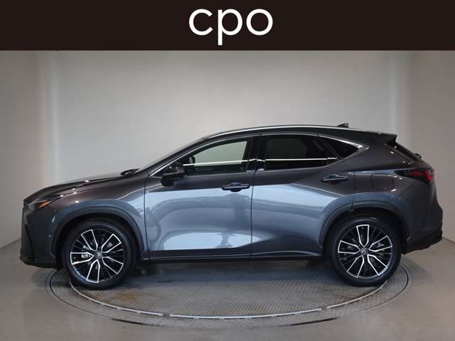 Lexus NX 6