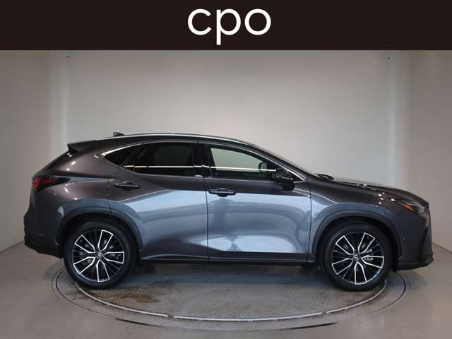 Lexus NX 7