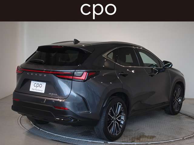 Lexus NX 8