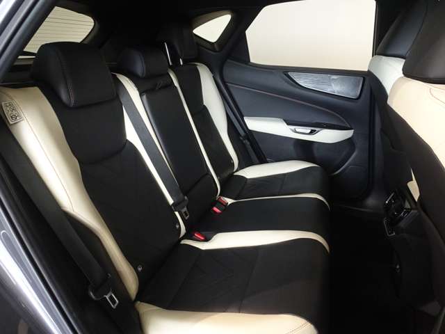 Lexus NX 10