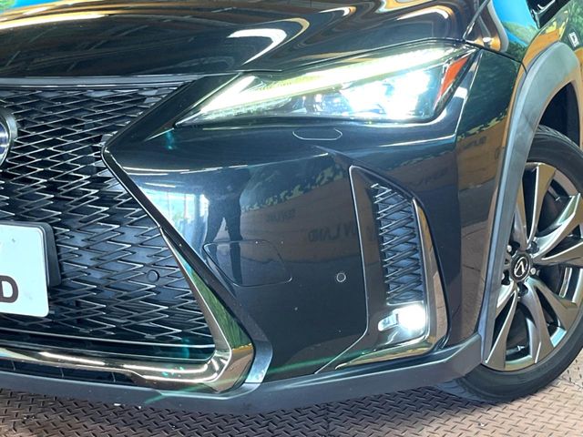 Lexus UX 12