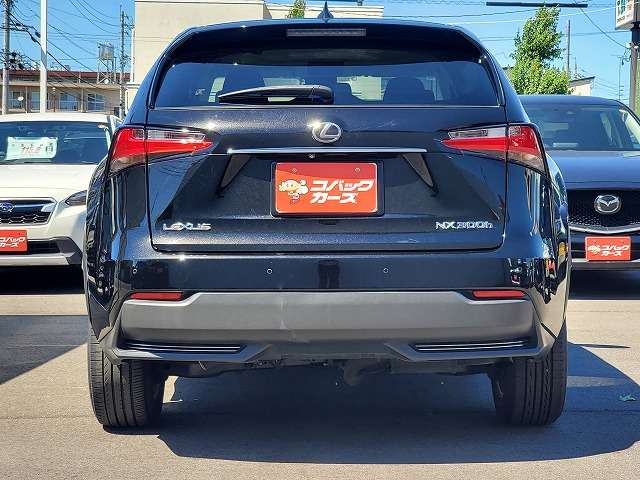 Lexus NX 10