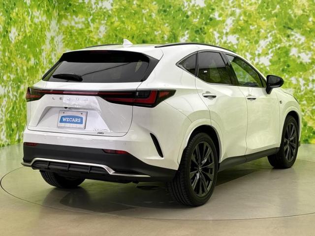 Lexus NX 6