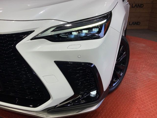 Lexus NX 12