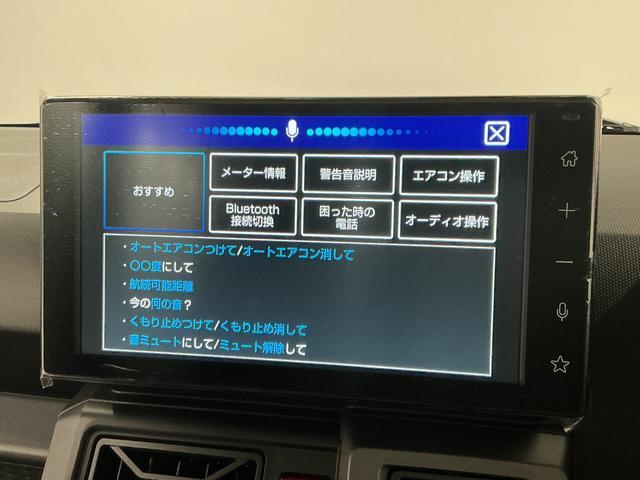 Daihatsu Taft 8