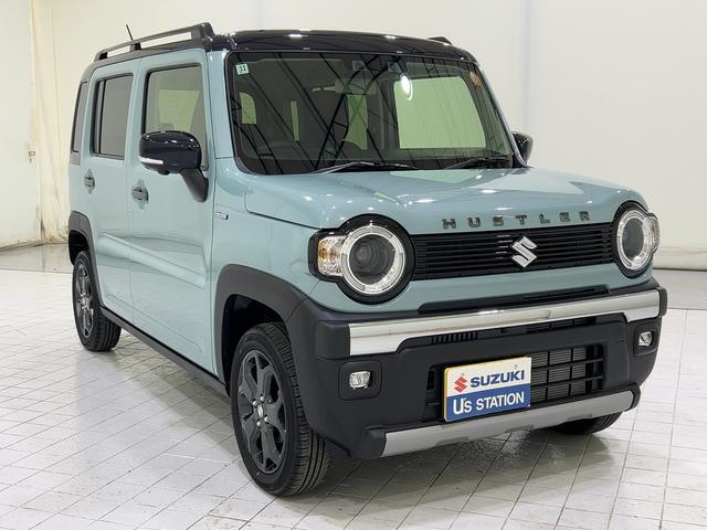 Suzuki Hustler 4