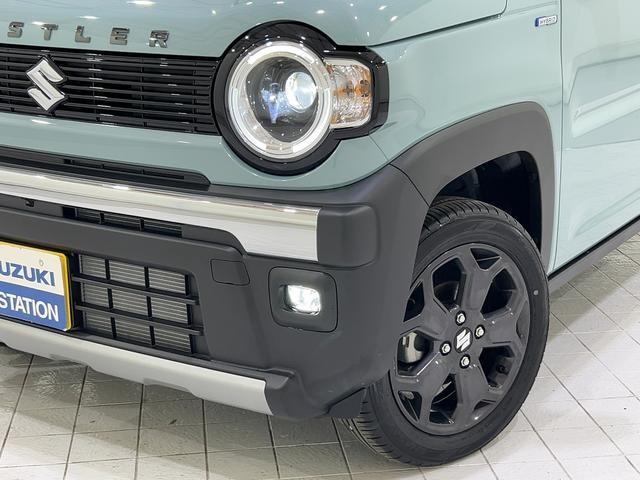 Suzuki Hustler 6