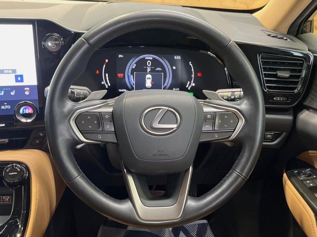 Lexus NX 11