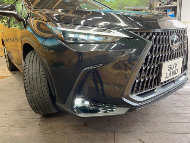 Lexus NX 12