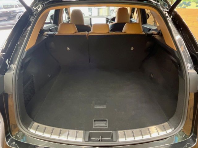 Lexus NX 10