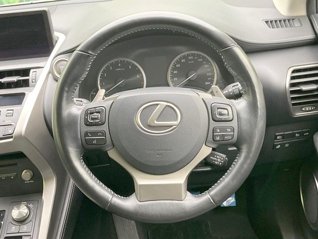 Lexus NX 11