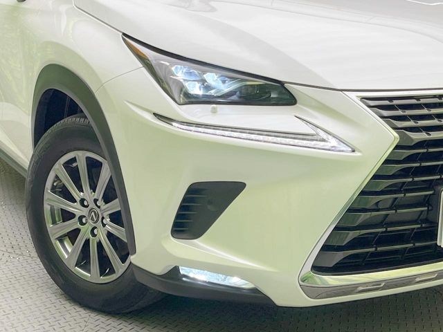 Lexus NX 12
