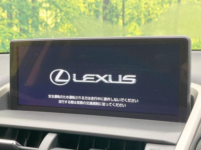Lexus NX 3
