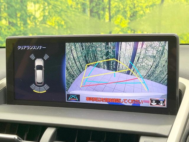 Lexus NX 4