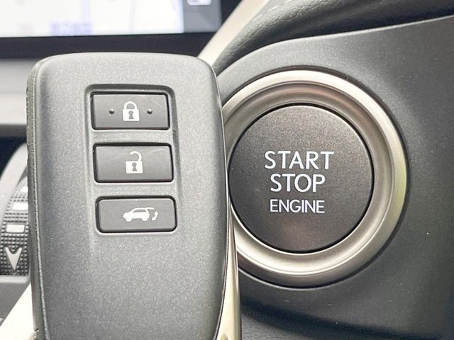 Lexus NX 7