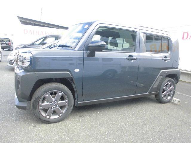 Daihatsu Taft 8