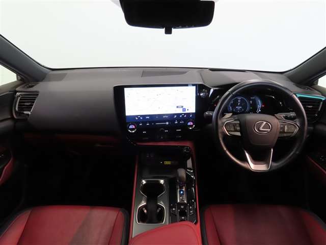 Lexus NX 12