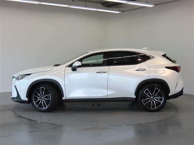 Lexus NX 6