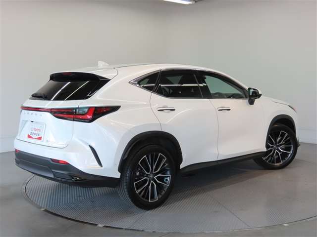 Lexus NX 7