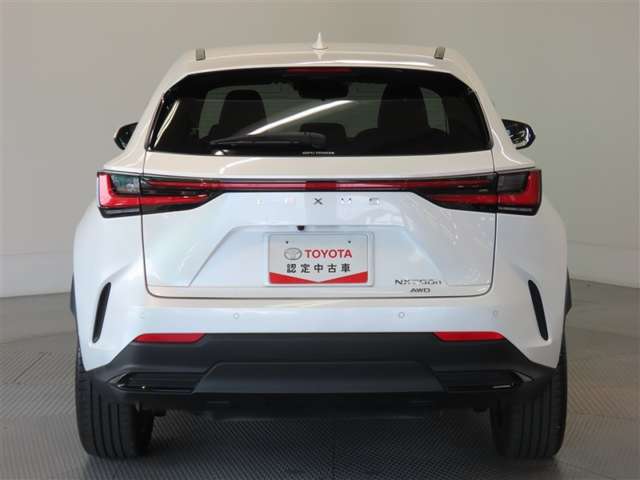 Lexus NX 8