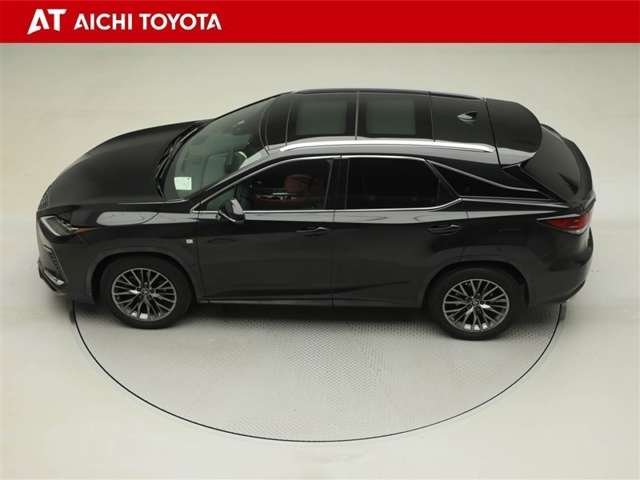 Lexus RX 11