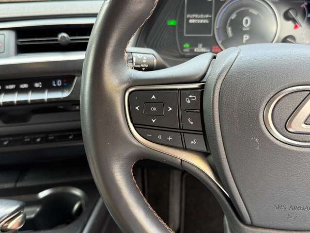 Lexus UX 10