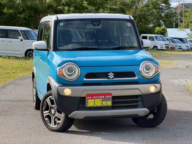 Suzuki Hustler 4