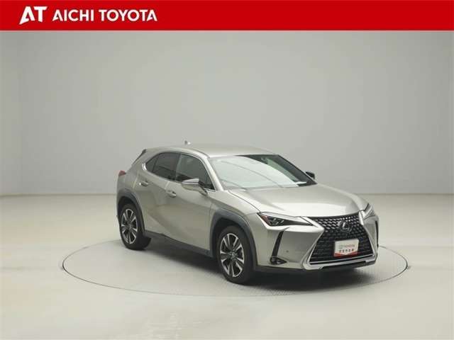 Lexus UX 8