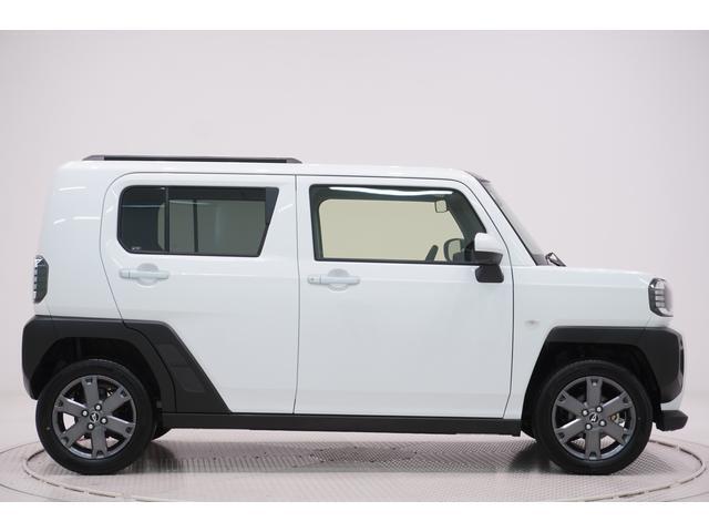 Daihatsu Taft 6