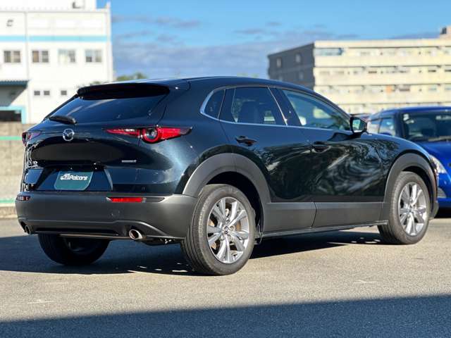 Mazda CX-30 12